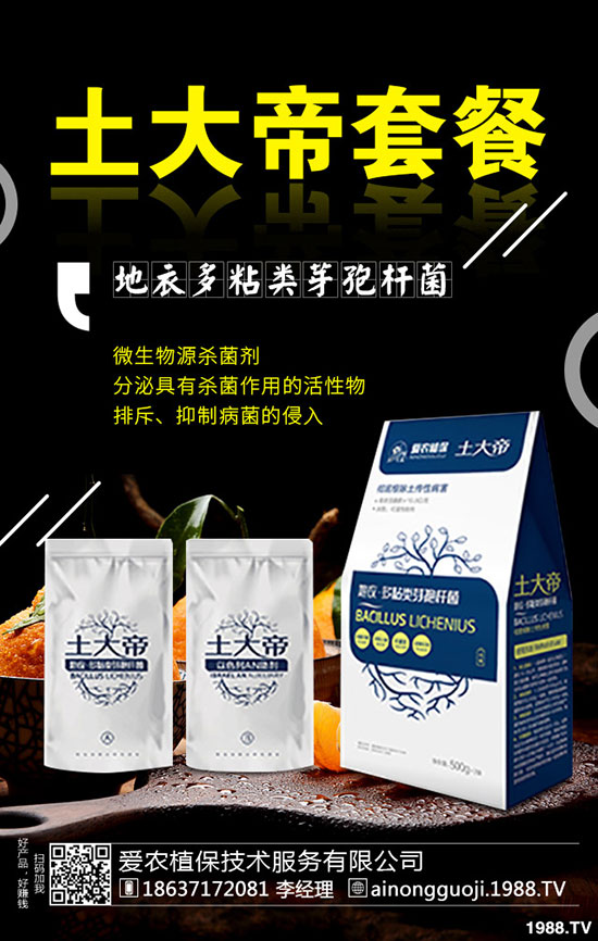 九月份可以種什么蔬菜？2019年9月蔬菜種植指南!