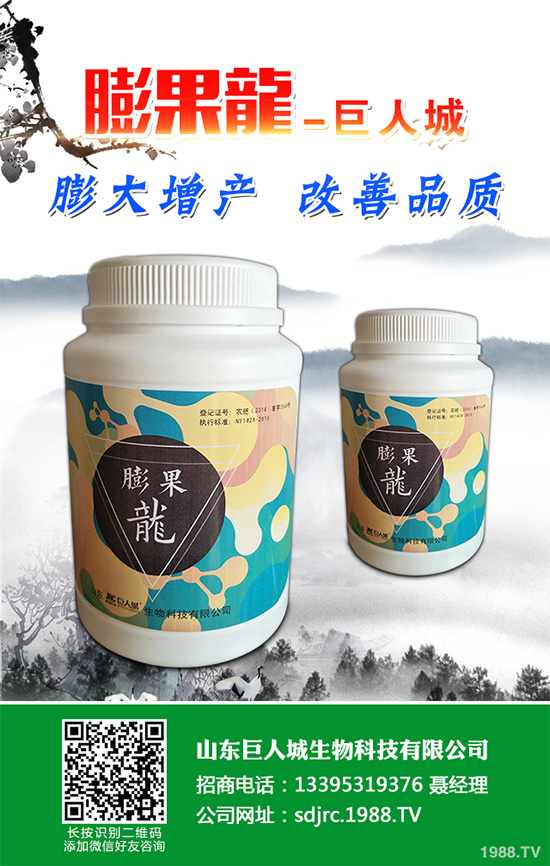 萵苣該如何施肥？萵苣的高產(chǎn)施肥技術(shù)有哪些？這些方法很重要！