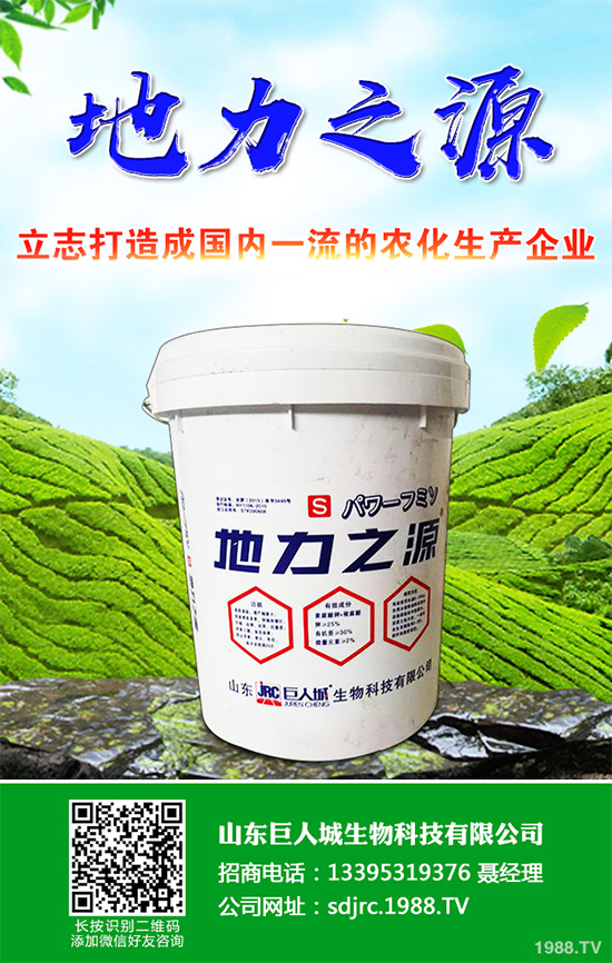 萵苣該如何施肥？萵苣的高產(chǎn)施肥技術(shù)有哪些？這些方法很重要！