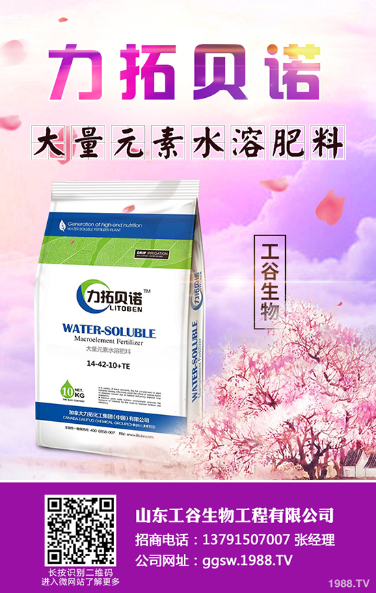 秋冬季小油菜如何種植？秋冬季小油菜種植技術(shù)及田間管理方法！