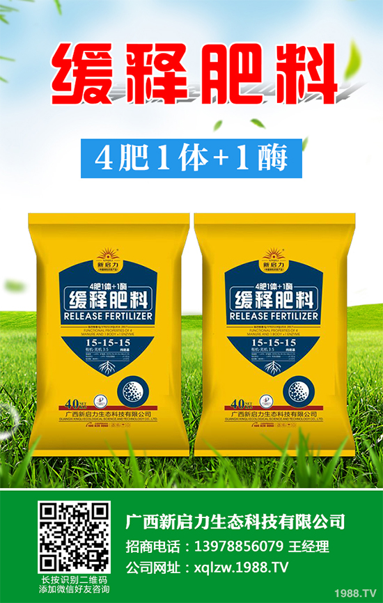 秋甘藍(lán)該怎么種植？秋甘藍(lán)高產(chǎn)種植技術(shù)