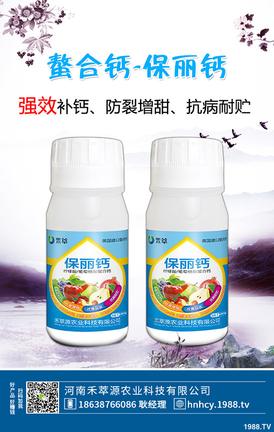 木耳菜怎么種,木耳菜種植時(shí)間和種植方法!