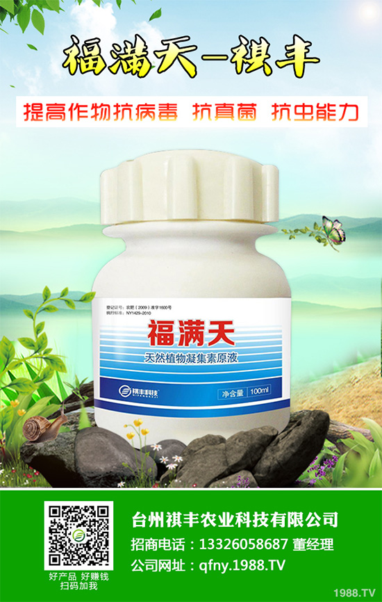 吃萵苣有哪些好處?常見萵苣的做法