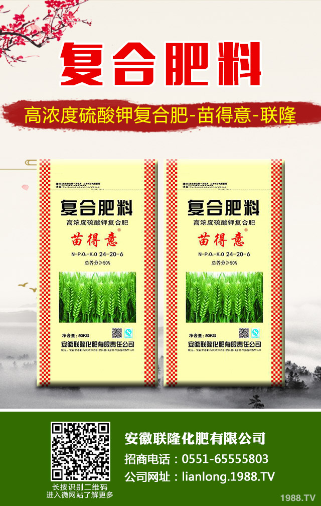 蘇鐵葉黃枯問題怎么解決？蘇鐵葉黃枯解決方法