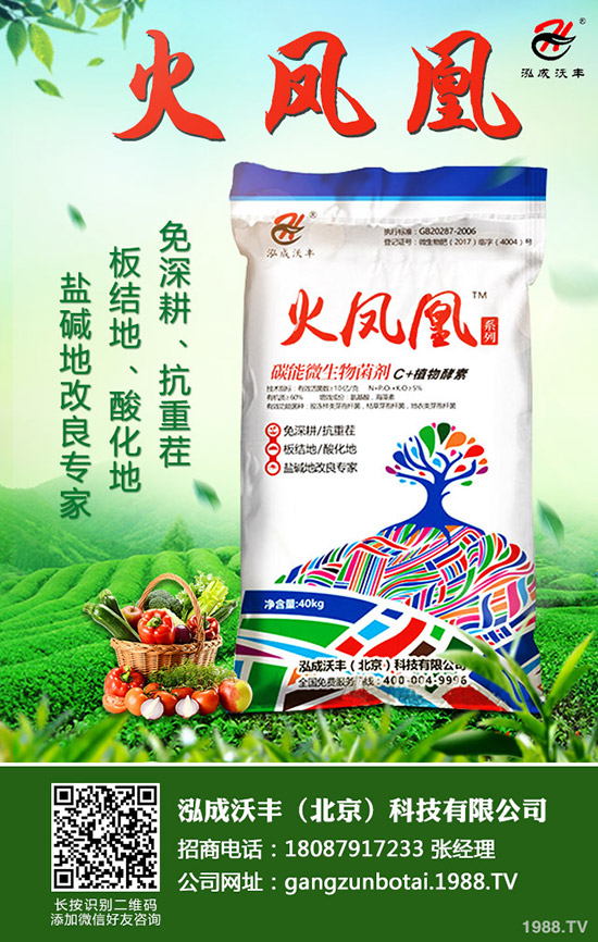 2019年9月4日今日國(guó)內(nèi)一銨價(jià)格行情走勢(shì)預(yù)測(cè)綜合評(píng)述