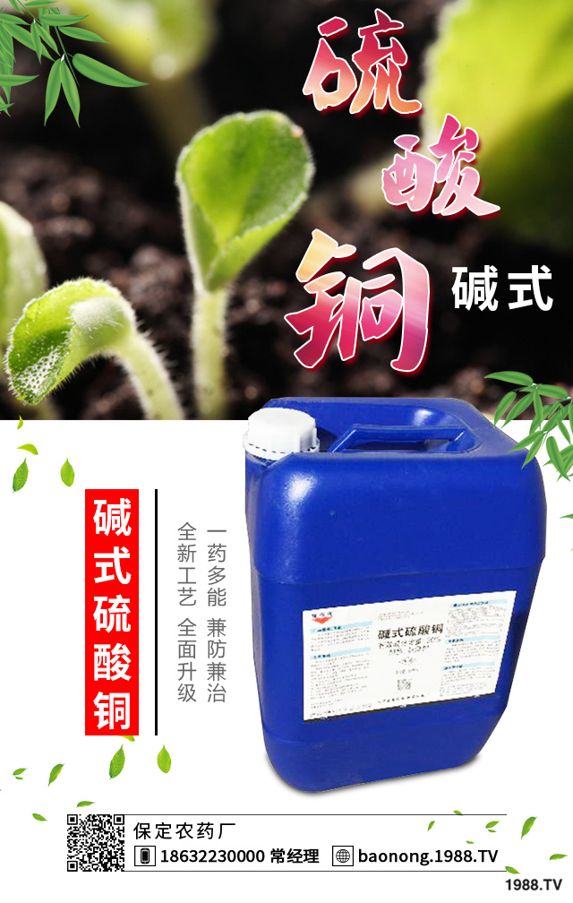 如何巧治蘇鐵葉斑病？蘇鐵葉斑病防治技巧