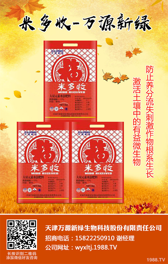 萵苣霜霉病危害這么大，你知道該如何防治嗎？萵苣霜霉病防治方法