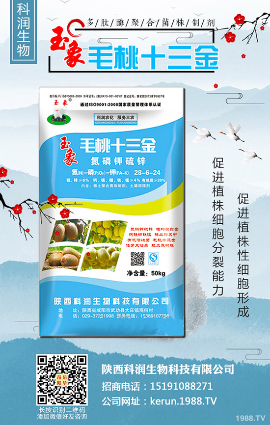     大蔥秋季什么時間種植合適？大蔥秋季種植時間及種植技術(shù)！