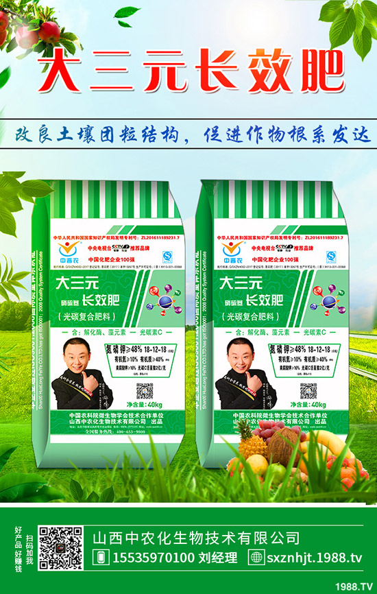 秋季大蔥如何管理?秋季大蔥種植管理方法及技術!