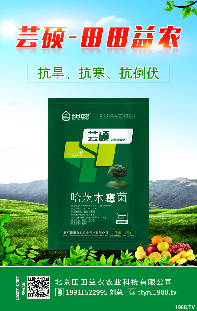 冬季柑橘如何防凍？冬季柑橘防凍技巧