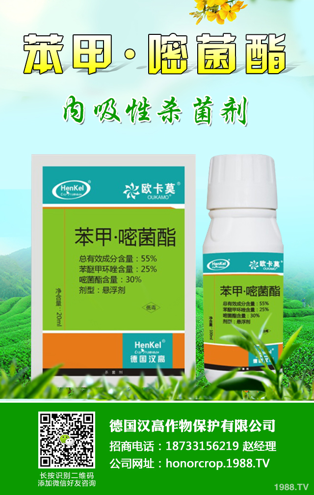 棗銹病如何防治才有效？棗銹病有效防治技巧