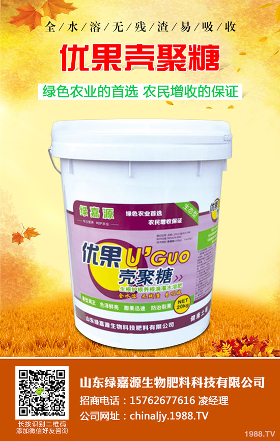 影響水稻分蘗的因素有哪些？如何提高水稻分蘗？