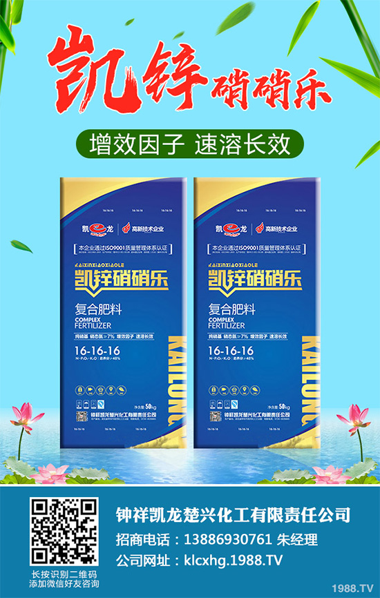     萵苣黑斑病是如何發(fā)生的？有哪些危害？萵苣黑斑病防治措施