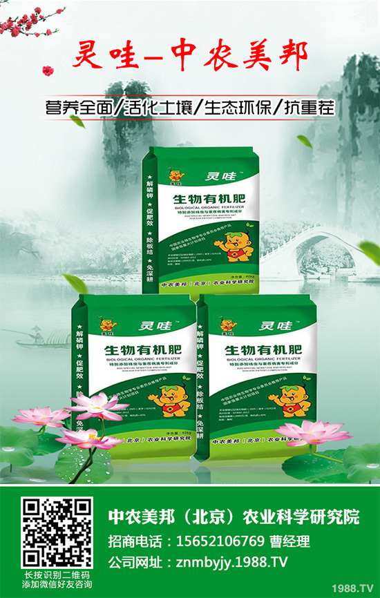     萵苣黑斑病是如何發(fā)生的？有哪些危害？萵苣黑斑病防治措施