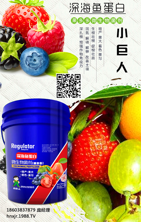 紅薯怎么種植？紅薯種植的高產(chǎn)管理要點 