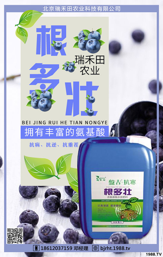 西紅柿什么時(shí)間種植，西紅柿種植技巧