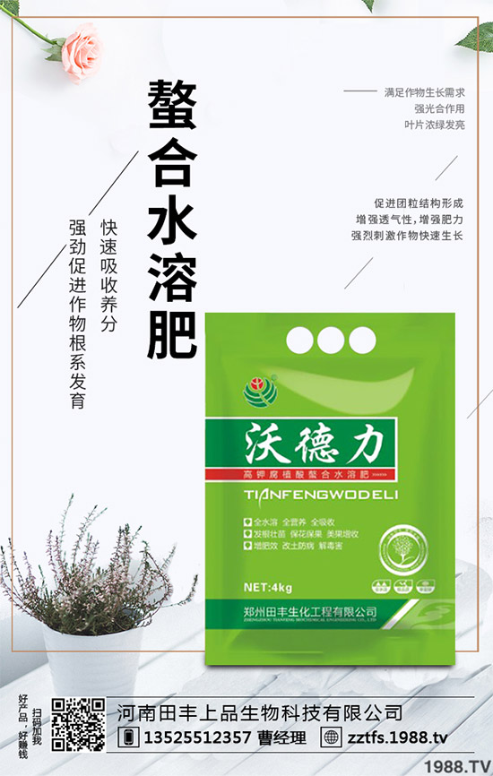 卷心菜有哪些營養(yǎng)價(jià)值？吃卷心菜有哪些好處？教你吃出健康！