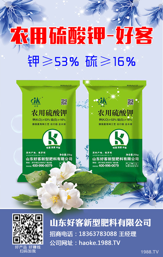 黃瓜什么時候種植?黃瓜高產(chǎn)種植技術(shù)有哪些?