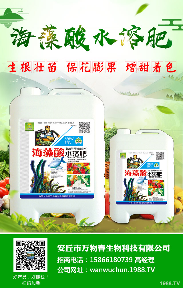 蔬菜怎么管理？低溫陰雨天氣蔬菜管理技巧