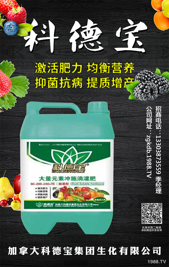 九月種什么蔬菜比較好？2019年9月蔬菜種植指南