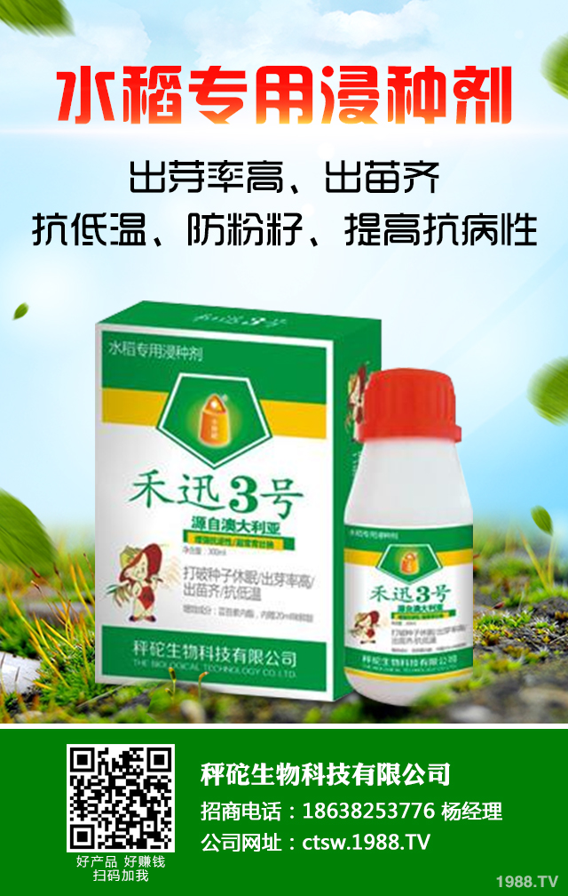 冬季香蕉怎么防凍？冬季香蕉防凍技巧