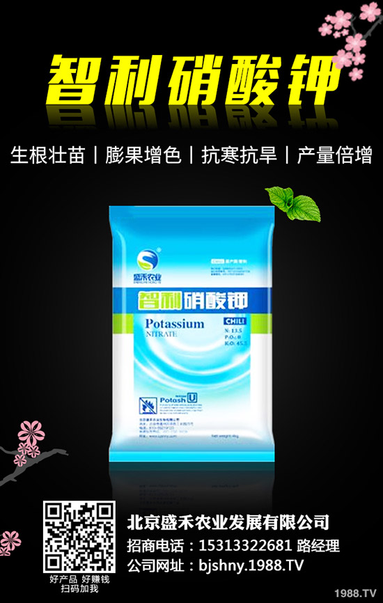 灰樹花種植前景怎么樣，灰樹花高產(chǎn)栽培要點！