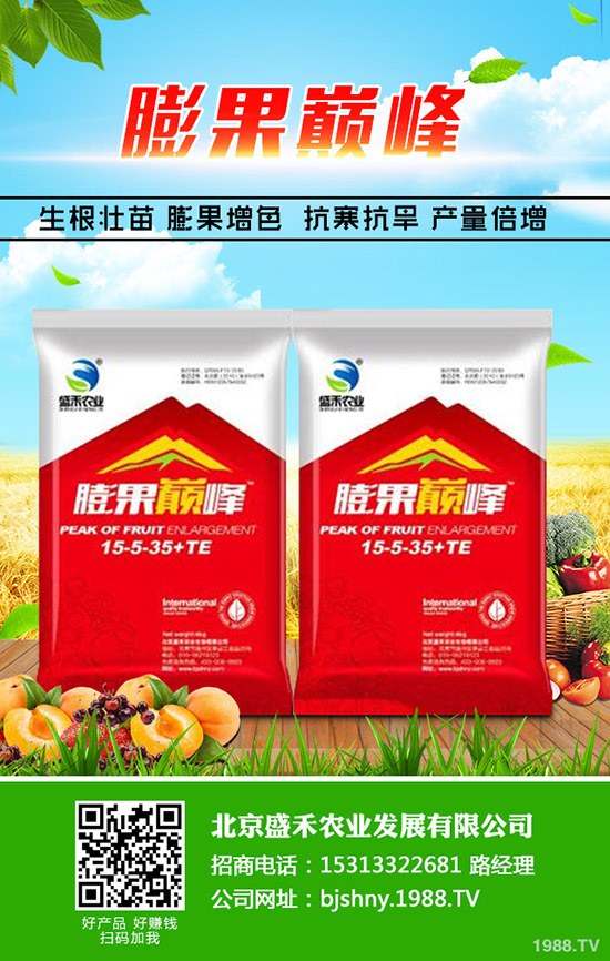 油菜什么季節(jié)種植，油菜從種植到豐收需要多久？