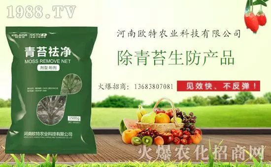 神奇除青苔劑！，不反彈！干凈，青苔無蹤！