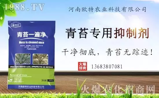 神奇除青苔劑！，不反彈！干凈，青苔無蹤！