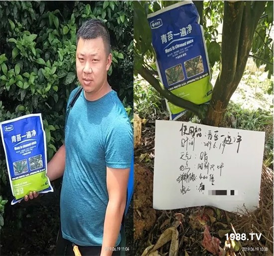 神奇除青苔劑！，不反彈！干凈，青苔無蹤！