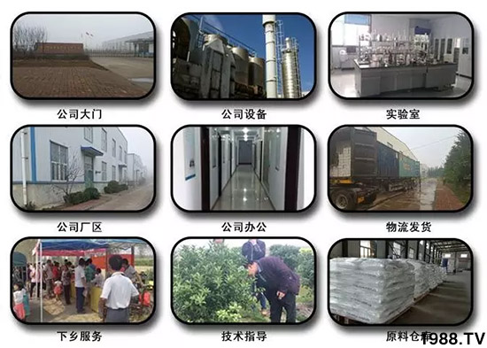 神奇除青苔劑！，不反彈！干凈，青苔無蹤！