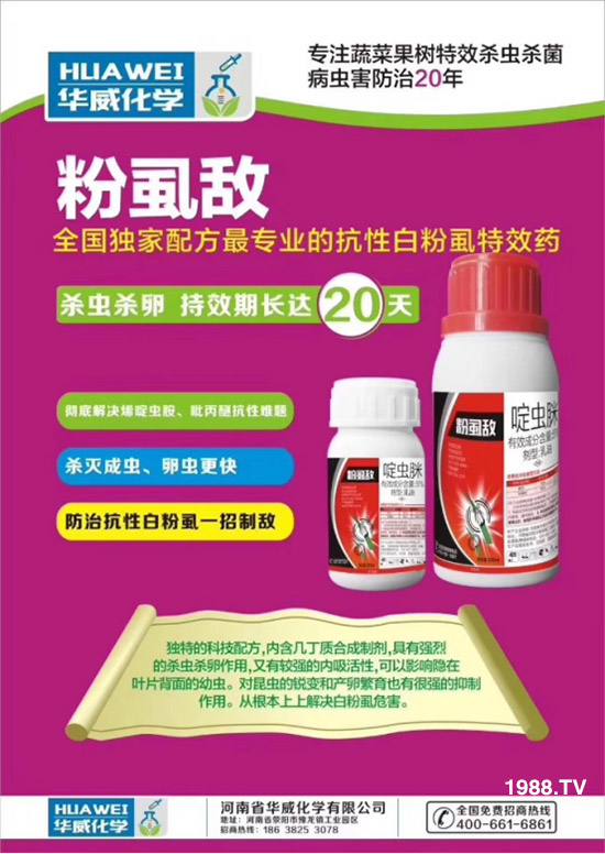 防治高抗性白粉虱——?dú)⑾x(chóng)殺卵一招制敵