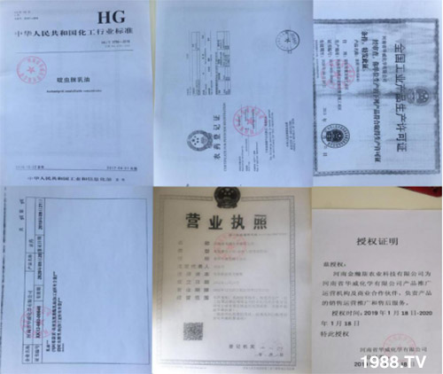 防治高抗性白粉虱——?dú)⑾x(chóng)殺卵一招制敵