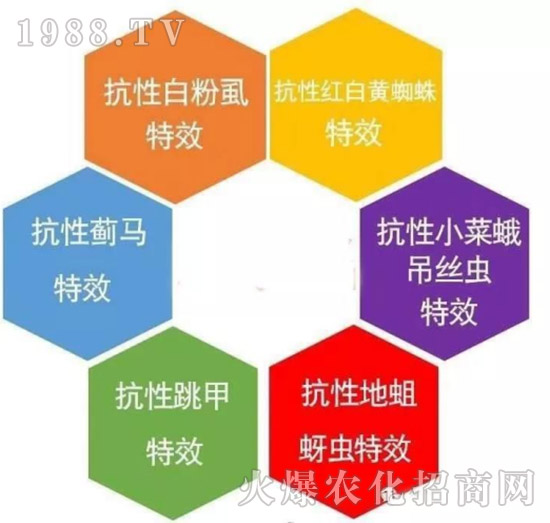 防治高抗性白粉虱——?dú)⑾x(chóng)殺卵一招制敵