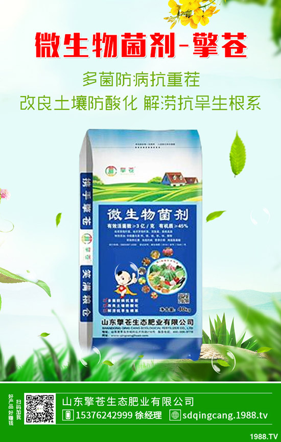 部分廠家尿素價(jià)格上漲!2020年1月10日各地區(qū)尿素主流出廠報(bào)價(jià)!