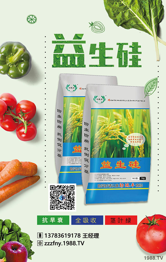 蠶豆施肥有方法,增產(chǎn)增收不在怕!