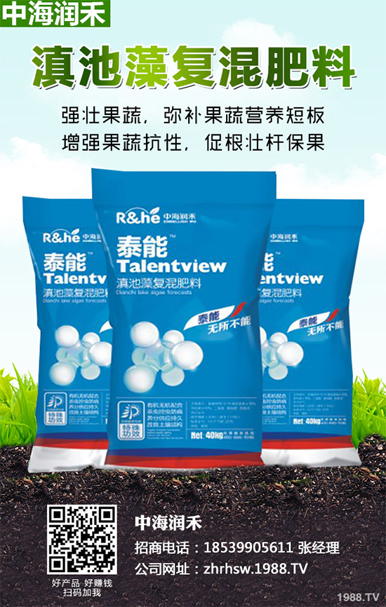 棉花怎么種植產(chǎn)量高?六大技巧讓你的棉花田輕松高產(chǎn)