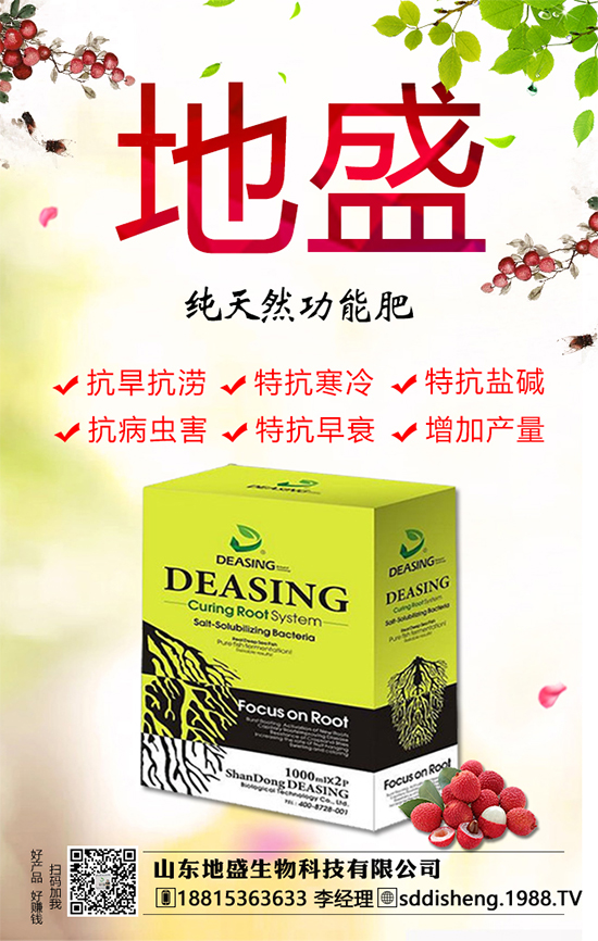油茶樹的種植管理方法，油茶樹的經(jīng)濟(jì)價(jià)值如何？