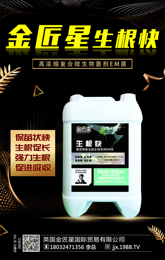 油茶樹的生長特性,油茶樹怎么種植?