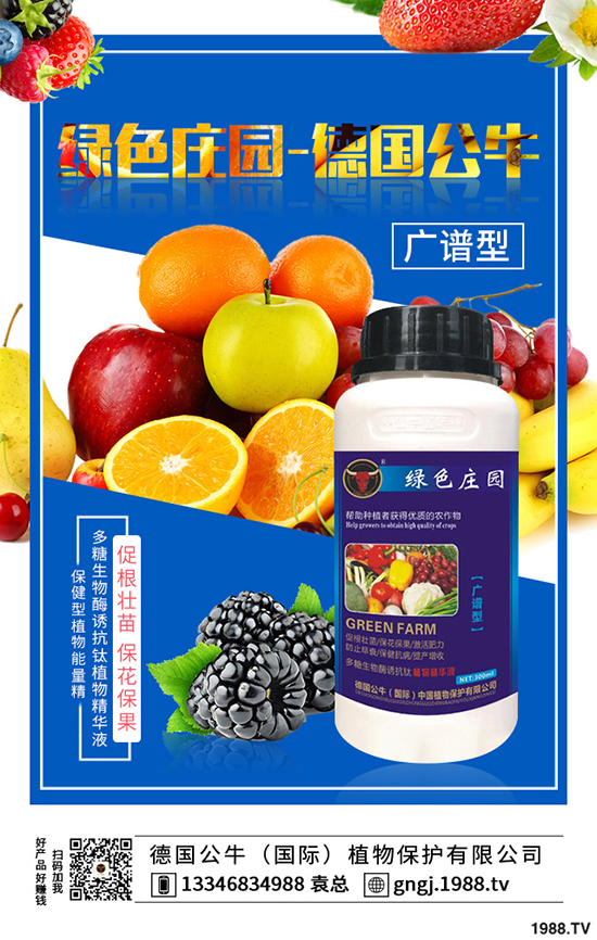 如何種植紫薯更高產(chǎn)，紫薯的種植方法與前景！