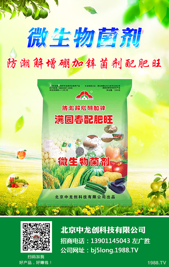 柑橘什么時候種植更好？柑橘的栽培要點有哪些？