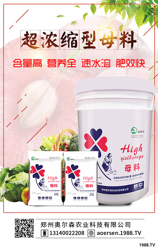 ���W��ɭ�r(n��ng)�I(y��)��ף������µ�һ�����Ҹ����M���H�Қg����