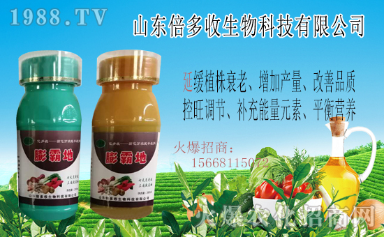  ��ɽ�|�����ա�ף������µ�һ����ؔ(c��i)Դ�L�L�������d����