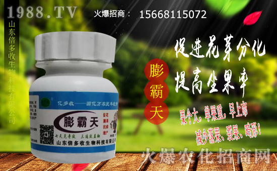  ��ɽ�|�����ա�ף������µ�һ����ؔ(c��i)Դ�L�L�������d����