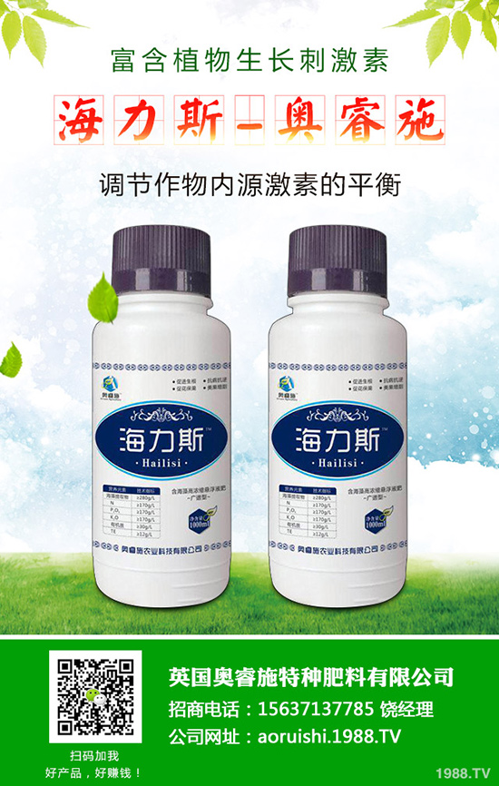 韭菜什么時(shí)候種植更好，韭菜種植時(shí)間和栽培技術(shù)