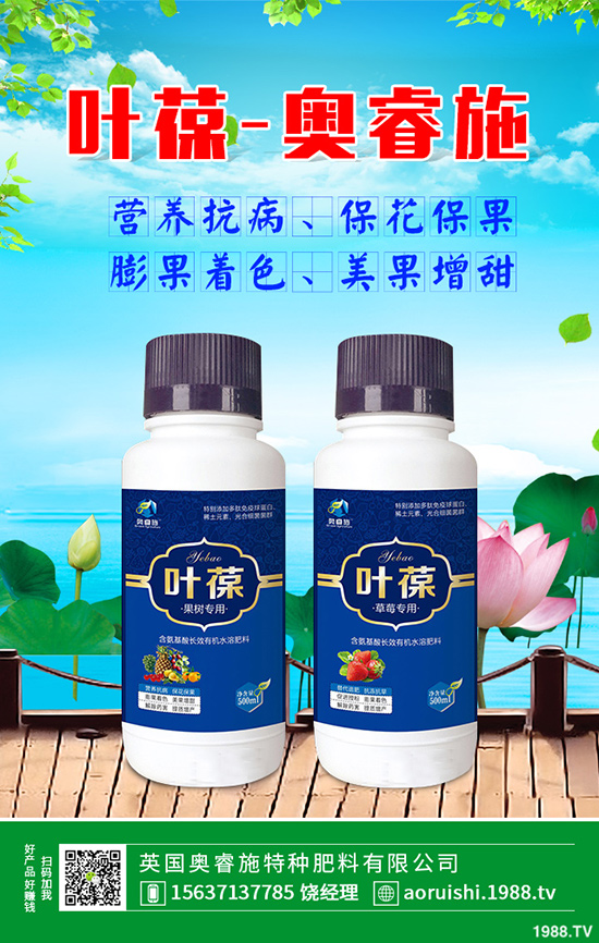 胡蘿卜什么時候育苗，胡蘿卜育苗方法有哪些？