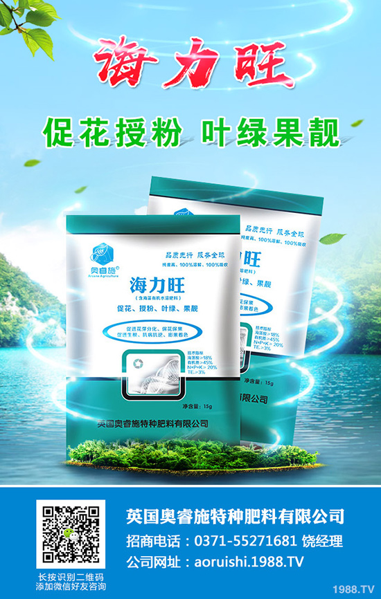 現(xiàn)在種植沙糖桔還賺錢嗎？沙糖桔種植技術大全