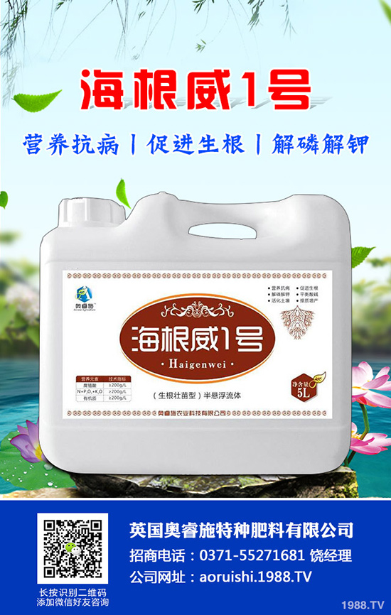 如何種植羊角蜜才能高產(chǎn)？羊角蜜種植時(shí)間和種植方法