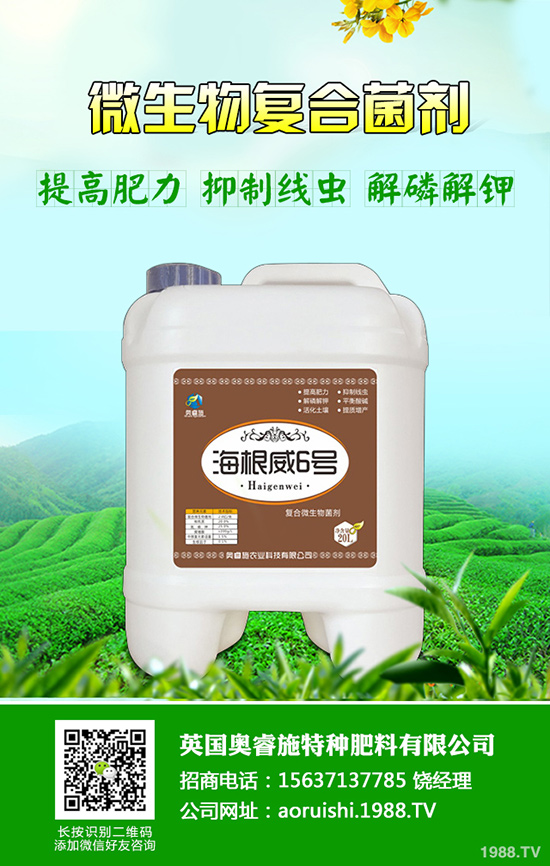 柚子種植技術(shù)！柚子栽種要注意些什么？
