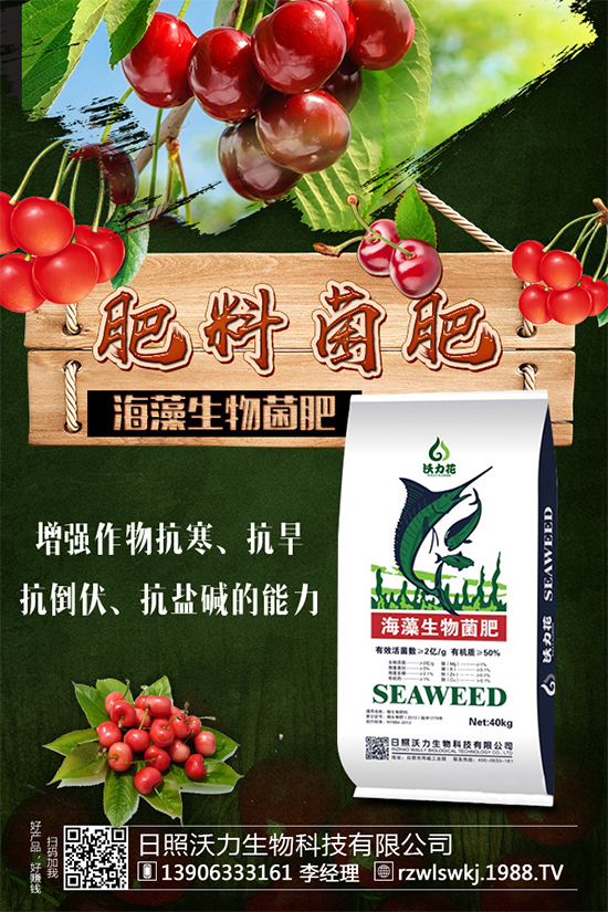 土豆怎么施肥？施什么肥料？土豆施肥要點！